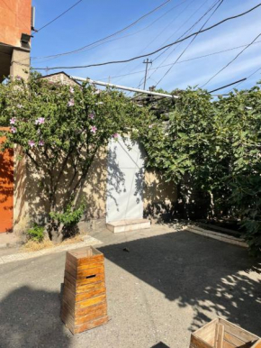 Apartment in the city center with the garden
